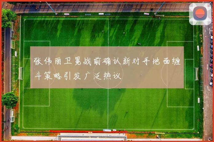张伟丽卫冕战前确认新对手地面缠斗策略引发广泛热议